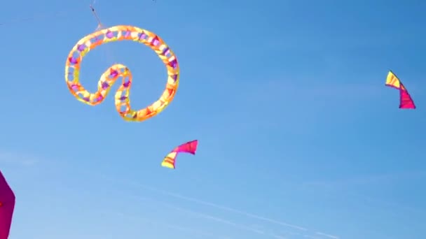 一群特技表演的风筝和滑稽的造型在空中飞舞 — 图库视频影像