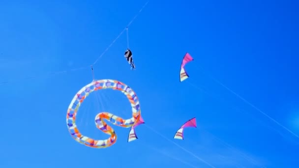 Kite Die Zichzelf Draait Met Andere Acrobatiek Vliegers — Stockvideo