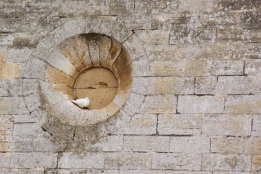 Beyaz güvercin, bir taşın yuvarlak penceresinin boşluğuna tünemişti.