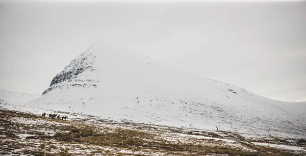 Besneeuwde hooggebergte landschappen. — Stockfoto