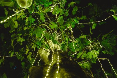 Gece bir ağaç dekorasyon LED ışıklar romantik bir ATMOS oluşturmak için