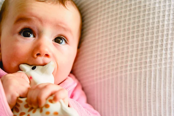 Beautiful and friendly 6 month old baby girl teething and biting — Stock Photo, Image