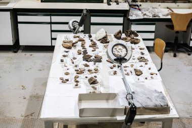 Teruel, İspanya - 26 Nisan 2019: Paleontolog çalışma masaları
