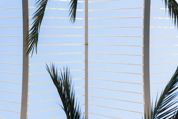 Himmelbakgrunn med struktur av metallstenger og palmeblader . – stockfoto