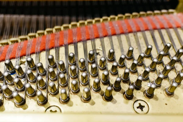 Detalj av insidan av ett piano med Soundboard, strängar en — Stockfoto