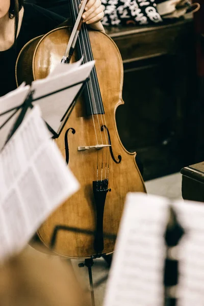 Violoncello innehas av en musiker under en paus på en klassisk mus — Stockfoto