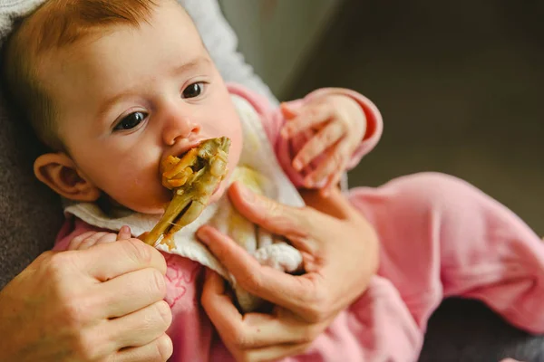 Bebé de 4 meses mordisqueando una pierna de pollo, probando sus primeros alimentos — Foto de Stock