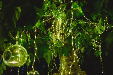 Gece bir ağaç dekorasyon LED ışıklar romantik bir ATMOS oluşturmak için
