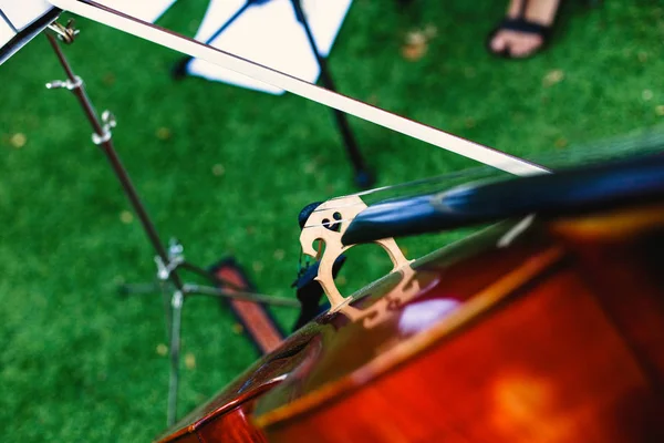 Detalle de las cuerdas de un violonchelo, instrumento musical para interpre — Foto de Stock