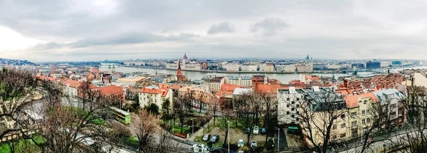 Overview of the Danube river as it passes through the European c — Stock Photo, Image