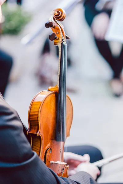 Violinista segurando seu violino de madeira na pausa de um ensaio — Fotografia de Stock