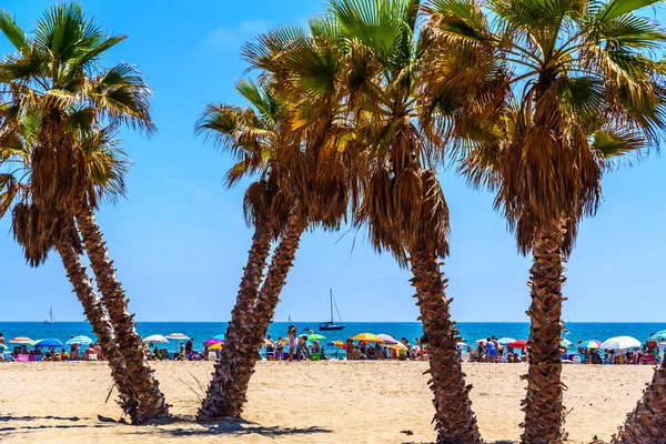 Walencja, Hiszpania-23 czerwca 2019: aglomeracja osób wakacyjnych — Zdjęcie stockowe