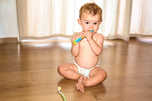 Bebê sentado em um chão de madeira de sua casa mordiscando uma escova de dentes — Fotografia de Stock