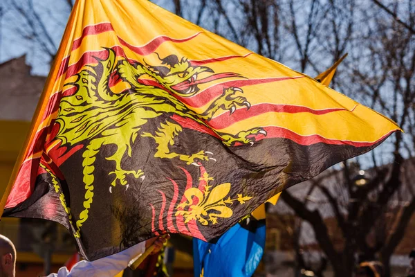 Flags of the brotherhood of Sbandieratori Di Fivizzano parading — Stock Photo, Image