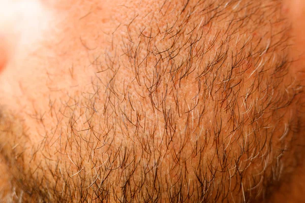 Bir adamın sakal saçının makro Detayı. — Stok fotoğraf