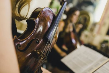 Klasik müzisyenler kendi müzik aleti, bir keman, whi tutun