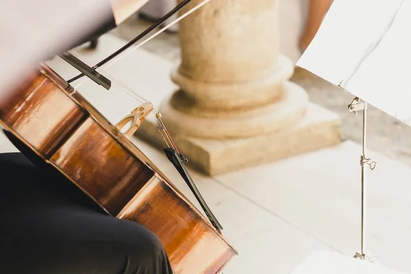 Klassiska musiker håller sin musikinstrument, en fiol, WHI — Stockfoto