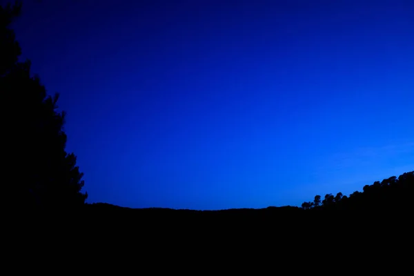 Intensiv blå himmel i skymningen med silhuett av träd i en Fores — Stockfoto