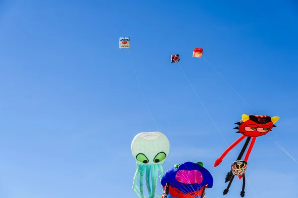 一群风筝，其形状是动物在夏天放飞 — 图库照片