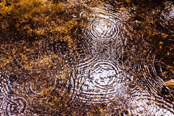 Fondo natural con el reflejo de un bosque en un lago dur — Foto de Stock