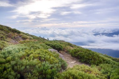 Kışın bir dağın tepesinden yalnızlık ta gün doğumu.