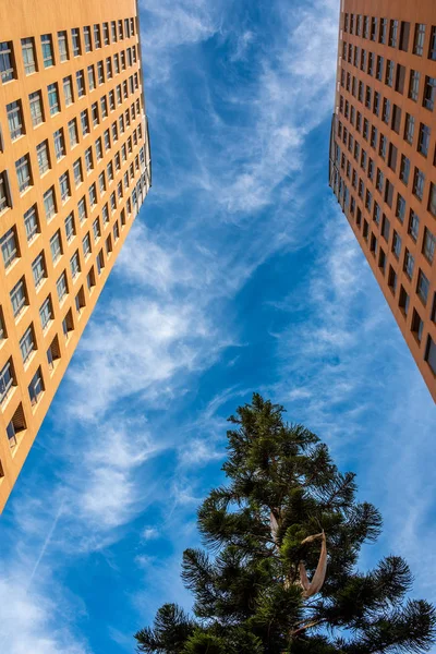 Vertical buildings of houses with blue sky and tree in the middl