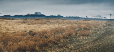 Dağlık vadilerde yeşil ve yapraklı otlakların peyzajı