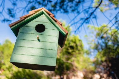 Bir ormandaki dallardan sarkan yabani ağaç kuşları için barınak, c