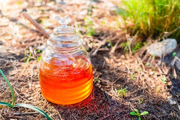 Mel fornece muita energia natural na forma de glicose em — Fotografia de Stock