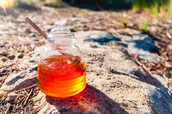 Glazen honing potje op de rotsachtige grond van een natuurlijk bos. — Stockfoto