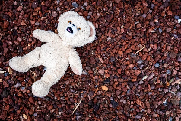 Teddy bear lying on the floor, dirty and wet, abandoned by a chi — Stock Photo, Image