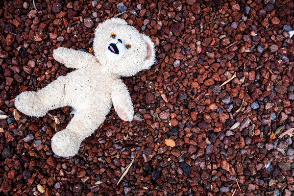 Teddy bear lying on the floor, dirty and wet, abandoned by a chi
