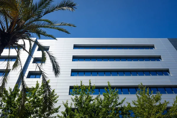 Modern office building next to palm trees on a sunny summer day.