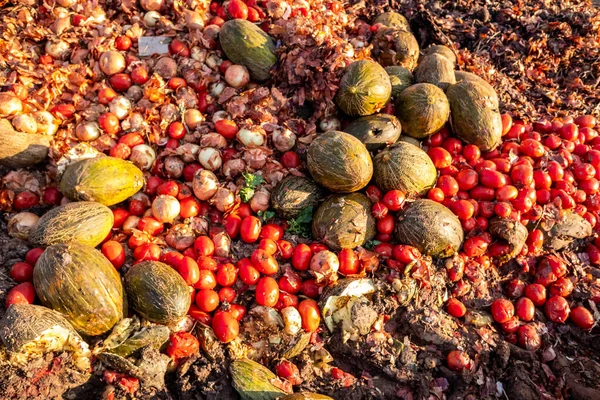 Vegetables thrown into a landfill, rotting outdoors.