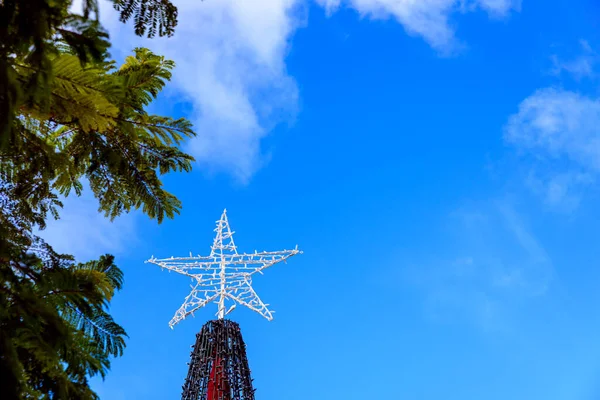 Una Estrella Sobre Árbol Navidad Contra Cielo Azul Aire Libre — Foto de Stock
