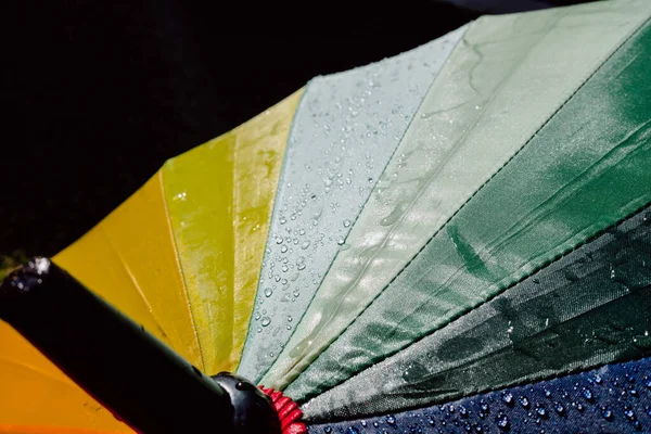 Yağmurlu bir günün ardından yağmur damlalı bir şemsiye ayrıntısı.