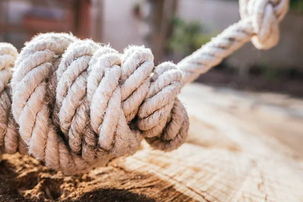 Detail of a complicated rope knot securely tied to a log.