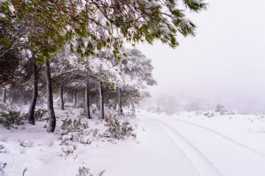 Tepe yolunda kar üzerinde bir arabanın lastik izleri var..