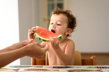 Kıvırcık saçlı küçük kız yazın evde oturup meyve yiyor..