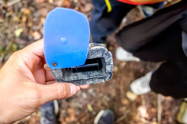 Geocache Araştırmacıların Bulduğu Bir Ormanda Saklı — Stok fotoğraf