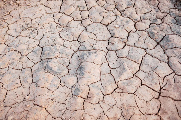 The drought in the Mediterranean area dries the riverbeds.