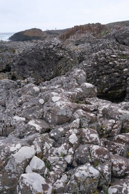 İrlanda kıyısı boyunca uzanan Giant 's Causeway' in büyüleyici altıgen bazalt sütunları, kasvetli bir gökyüzü altında dramatik kayalık manzaralarla çevrili..
