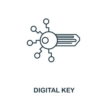 Dijital anahtar anahat simgesi. Tek renkli stil tasarım Kripto para birimi simgesi koleksiyonundan. UI. Piksel mükemmel basit piktogram anahat dijital anahtar simgesi. Web Tasarım, apps, yazılım, yazdırma kullanımı.