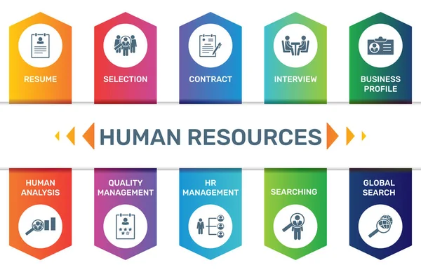 Infographic Sjabloon Human Resources Data Visualisatie Stappen Opties Kan Gebruikt — Stockvector