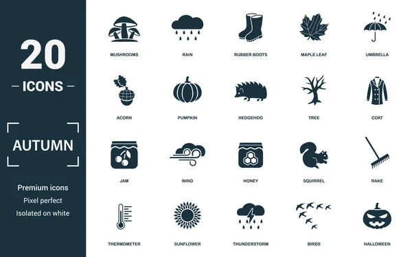 Набор икон осени. Коллекция монохромных знаков с грибами, дождями, резиновыми сапогами, кленовыми листьями и иконами. Набор осенних элементов. — стоковый вектор