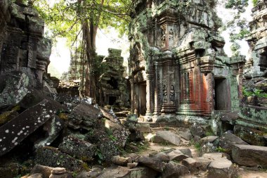 Ta Prohm Tapınak, tapınak Angkor, Kamboçya