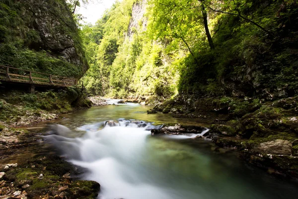 Vintgar Gorge Caminho Madeira Perto Bled Eslovénia — Fotografia de Stock