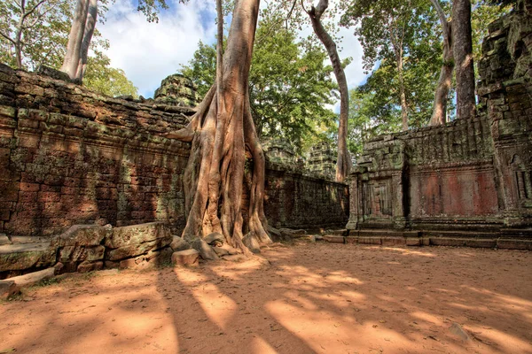 Templo Prohm Templos Angkor Camboya —  Fotos de Stock