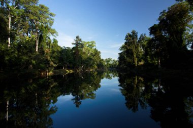 Preah Khan Tapınak, tapınak Angkor, Kamboçya