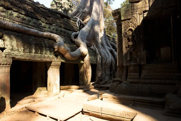 Templo Prohm Templos Angkor Camboya — Foto de Stock